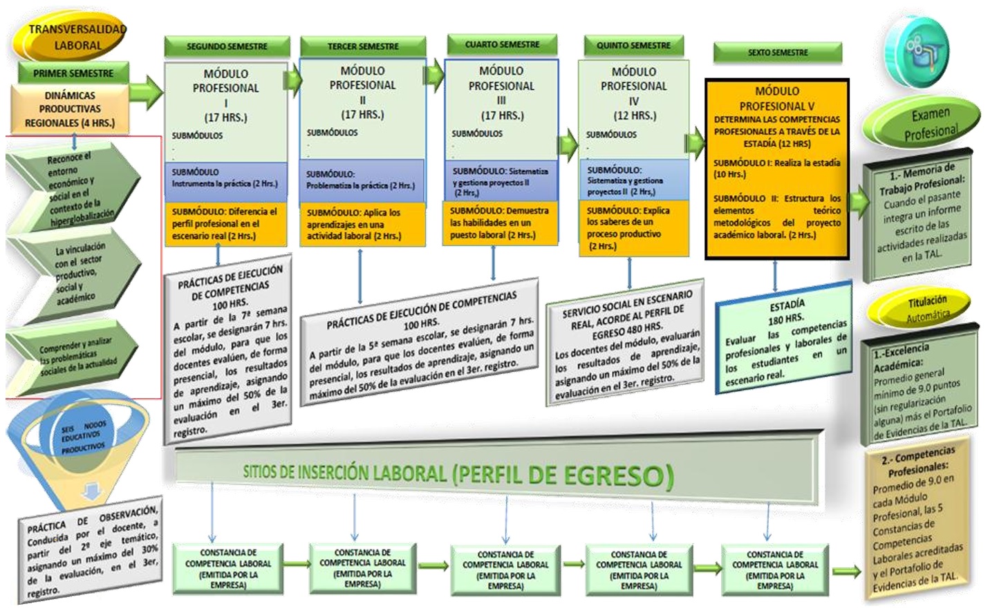 TRAYECTORIA LABORAL